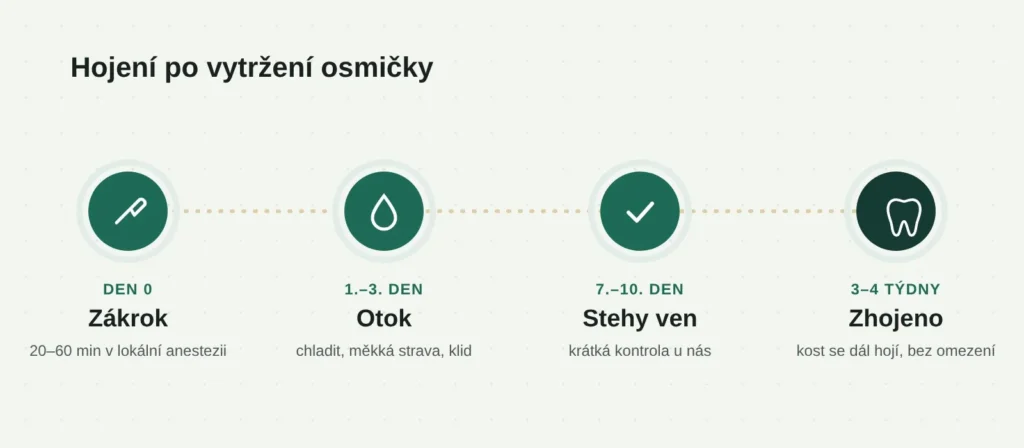 Hojení po vytržení zubu moudrosti: od zákroku po úplné zhojení
